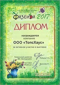 Диплом №11