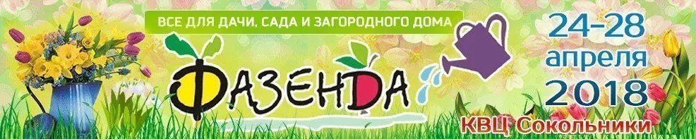 Весна в Сокольниках начнется 24 апреля