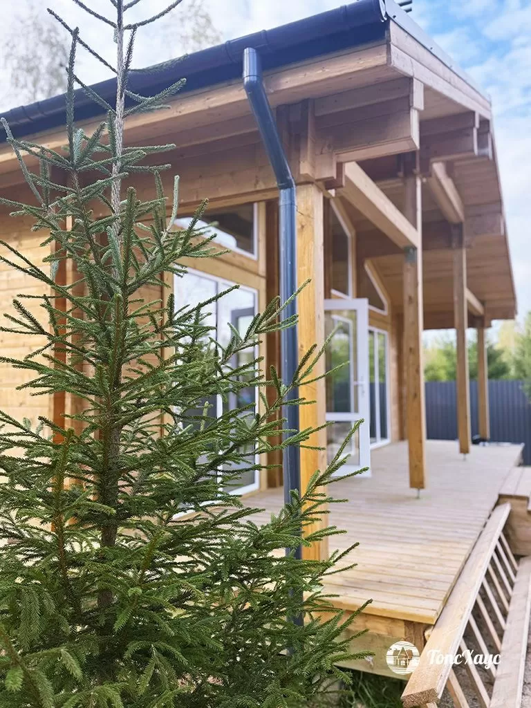 "Золото Скифов"