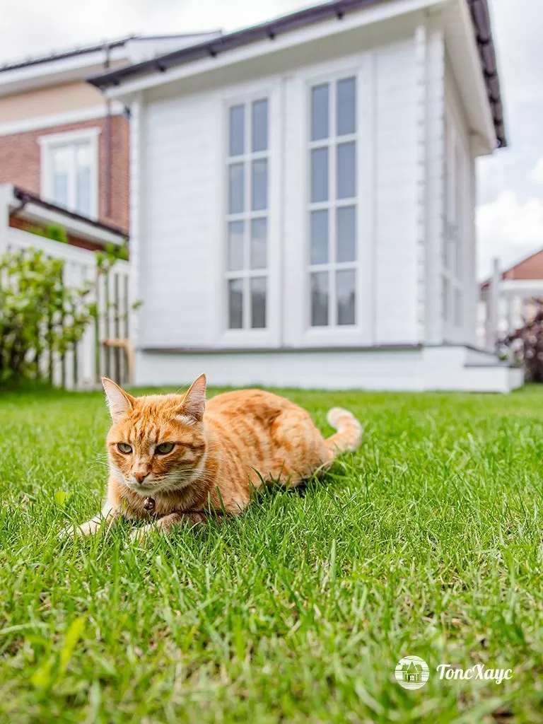 Беседка. Индивидуальный проект