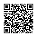 Навес с кладовкой «Складный». 293842429