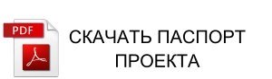 Паспорт проекта