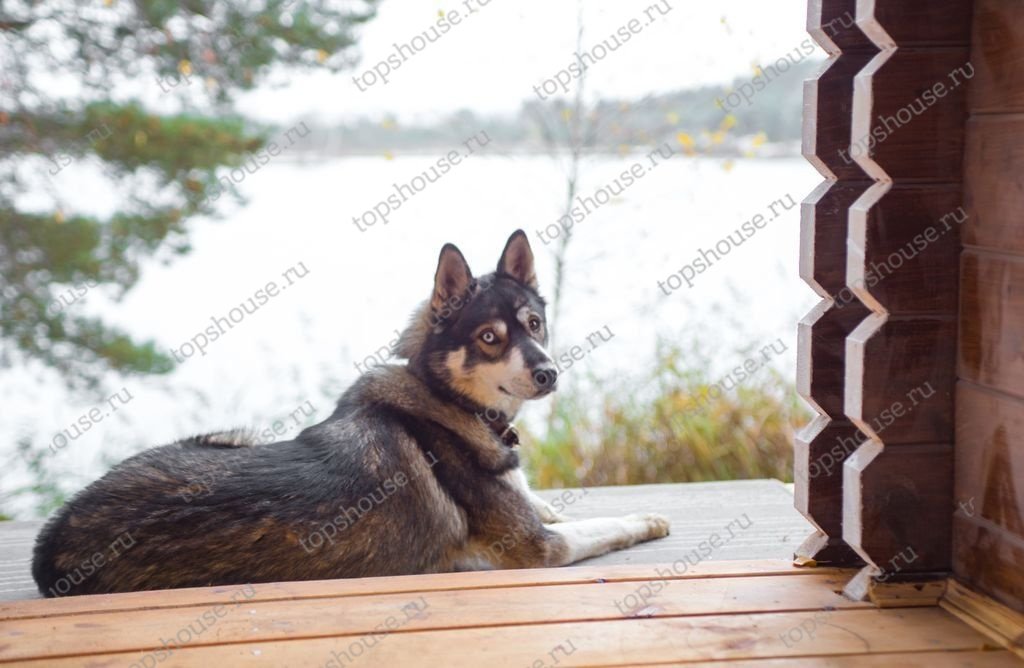 Одноэтажный тёплый дом «Эко-Идеал». 10615